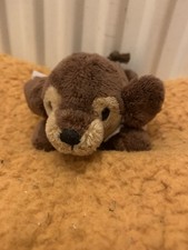 NICI Magnet-Tierdackel Skida 49307 - MagNICI Winterhund 12 cm