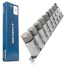 Innensechskant Stecknussset