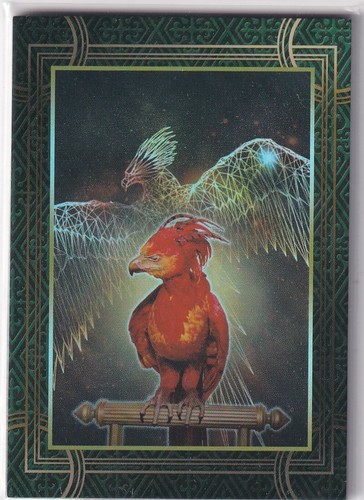 Panini harry potter - harry,