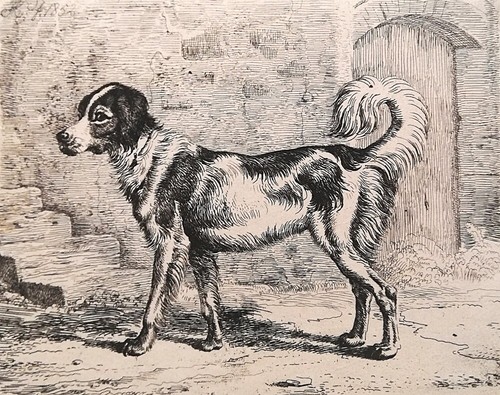 Johann adam klein - adam, klein,