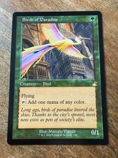 Paradiesvögel / Birds of