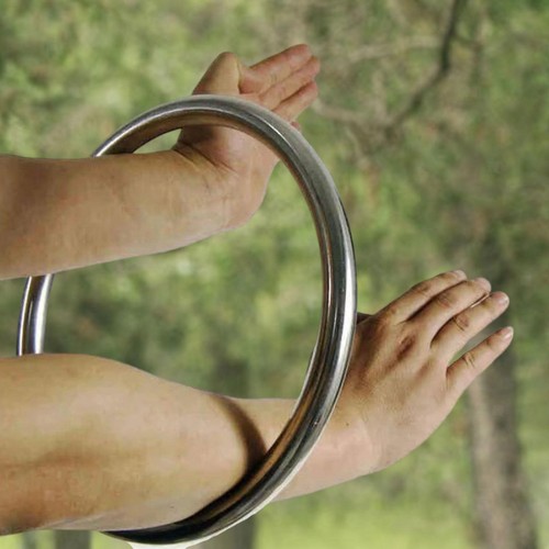 Wing chun edelstahl - wing,