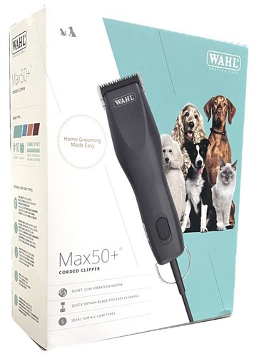 Wahl max professionelle - 50+,