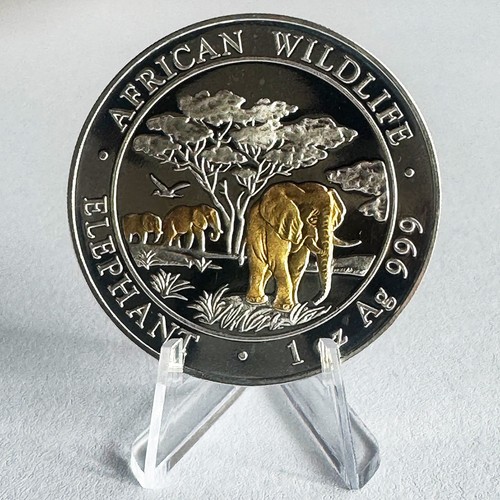 African wildlife 2012 - african,