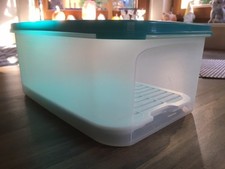 Tupperware Kompaktus 4,3 Liter kleiner Superstar grüner Deckel + Frischegitter