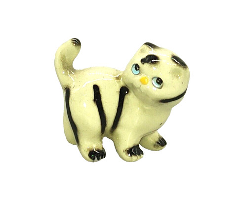 Katze kätzchen - katze,