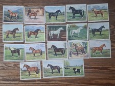 Voss Kunstbilder Tierreich