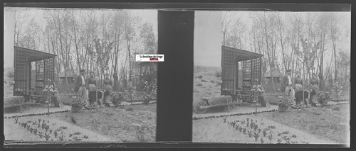 Garten platten glas foto - garten,,