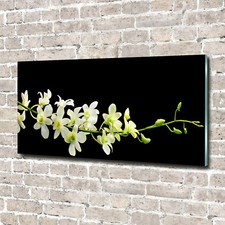 Glas-Bild Wandbilder Druck auf