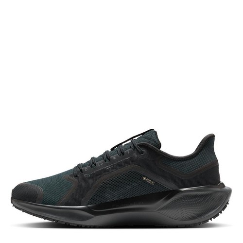 Nike pegasus gore tex - 41, gore-tex