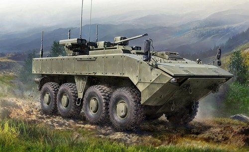 Zvezda 5040 bmp - 5040, bumerang