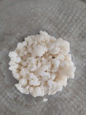 Biomilch Milchkefir-Knollen 15