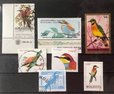 kl. Steckkarte Bienenfresser