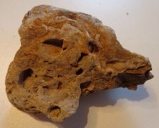 Lochgestein Travertin Thüringen   ?(U699)Schau Mal durch !