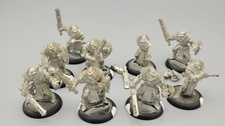 Warmachine/Hordes Cygnar  - 10x Sword Knights - Zinn/ Metall - Unbemalt