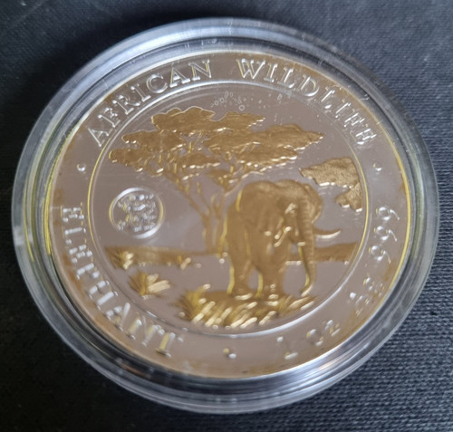 Somalia elefant 2012 1 - , oz