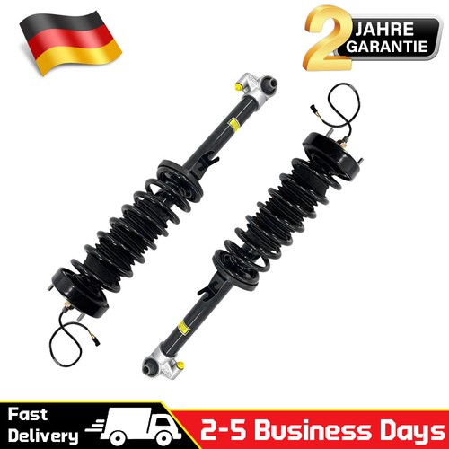 Stoßdämpfer hinten links - 2x,