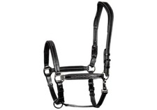 % Harry´s Horse Halfter