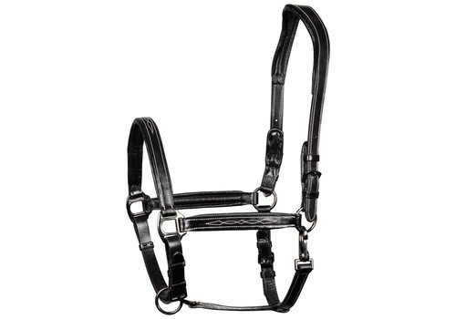 Harry horse halfter - harry´s,