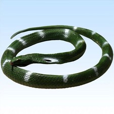 Kobra ca 81cm lange Brillenschlange Cobra Deko Requisite Dekoartikel Schlangen