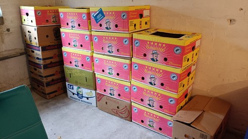 Bananen flohmarktkisten - 20, bananen-flohmarktkisten