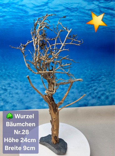 Aquarium wurzel bonsai - 🌳aquarium,