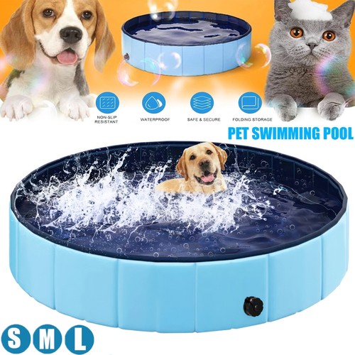 Hundepool pool swimmingpool - hundepool,