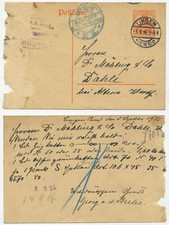 43002 ganzsache 110 - p,