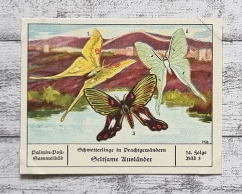 Seltsame ausländer - seltsame,