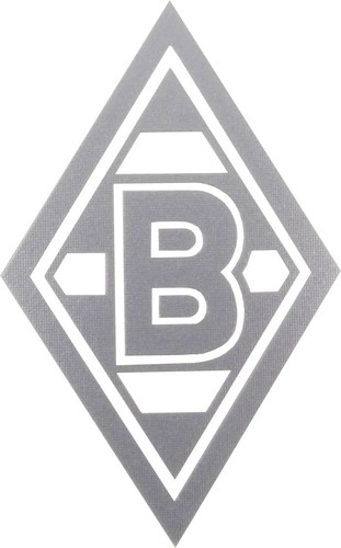 Vfl borussia mönchengladbach - vfl,