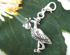 CHARMS GEBURT SILBER STORCH