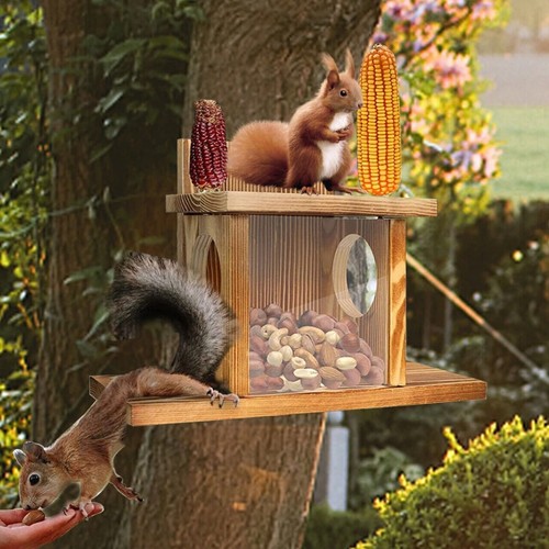 Eichhörnchen wetterfest