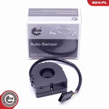 ESEN SKV Lenkwinkelsensor