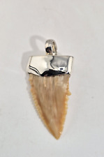 Anhänger Silber 925 fossiler Haizahn  Palaeocarcharodon orientalis Marokko H30