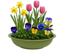 39x7cm Pflanzschale grün