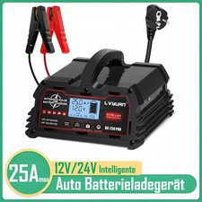 25A 12V 24V Intelligente