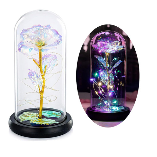 Glaskuppelrose led lichter - glaskuppelrose, led-lichter