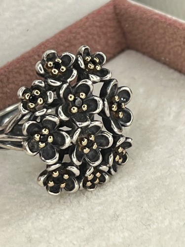 Pandora ring wandas - pandora, garten