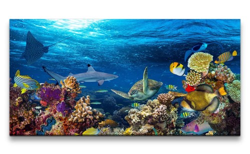 120x60cm leinwandbild - 120x60cm,