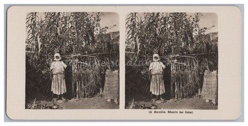 Rabat marokko bäuerin - rabat,