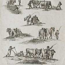 Killian Ponheimer Ochsen Bauern Pflug Radierung Joseph Eder Wien 19 Jhd