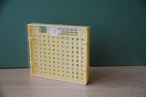 Königinnen zuchtbox - 1,