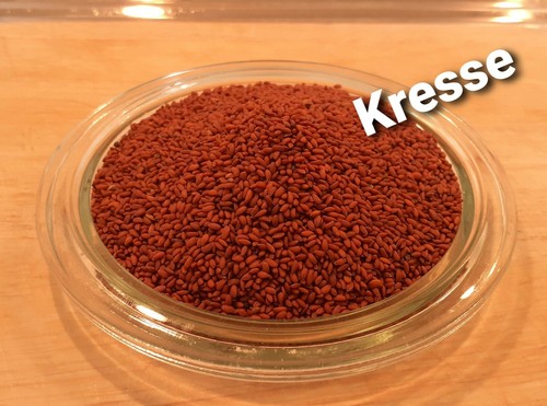 Kresse gartenkresse 1000 - kresse,