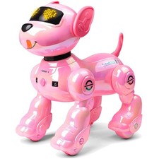 Ferngesteuerte Roboter Hund