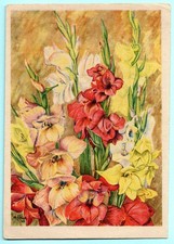 Alte AK Postkarte M.Schewe Gladiolen...   1949 DDR Rar!!