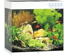 Aquarium JUWEL Lido 120 mit LED-Beleuchtung, Pumpe, Filter, Heizer ohne Untersch