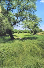 Foto Hintergrund aus Stoff mit