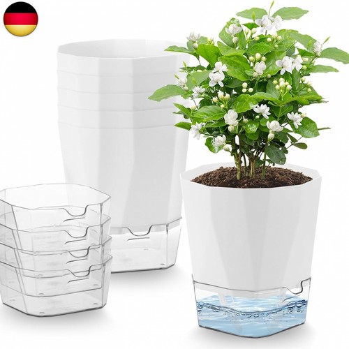 6er set kräutertöpfe küche - set,