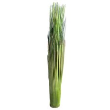 GRASBUND Grasbusch ca 75cm