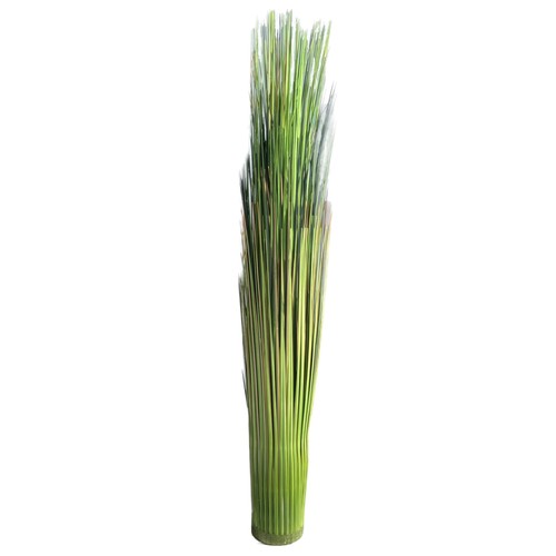 Grasbund grasbusch 75cm - grasbusch,